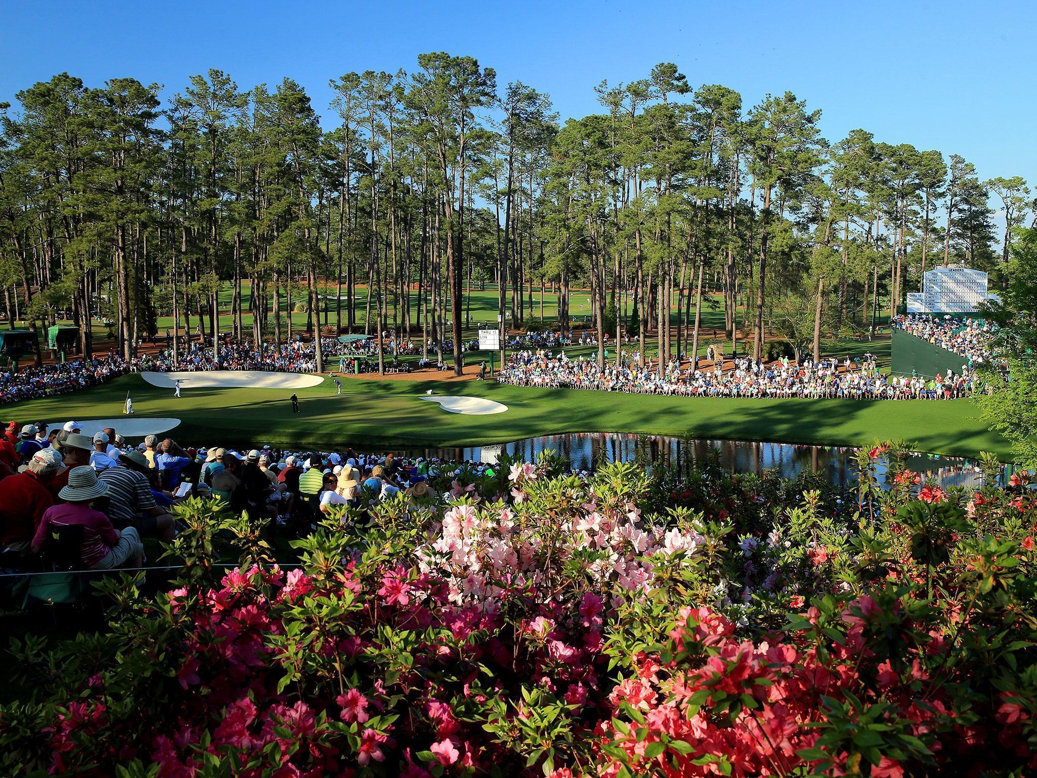 The entire course is covered in flowering plants