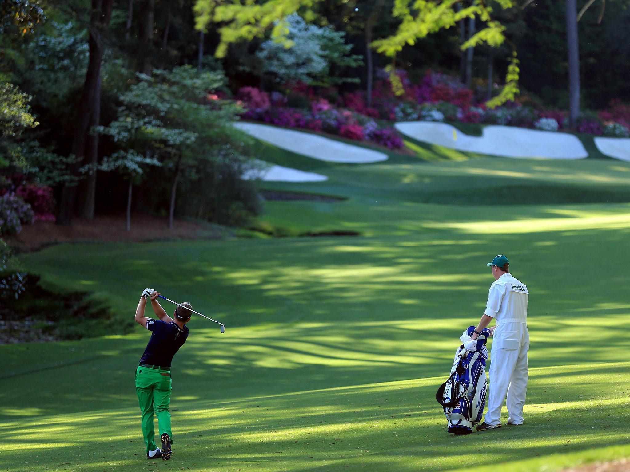 Straying too far left will block out the green and bring the trees into play