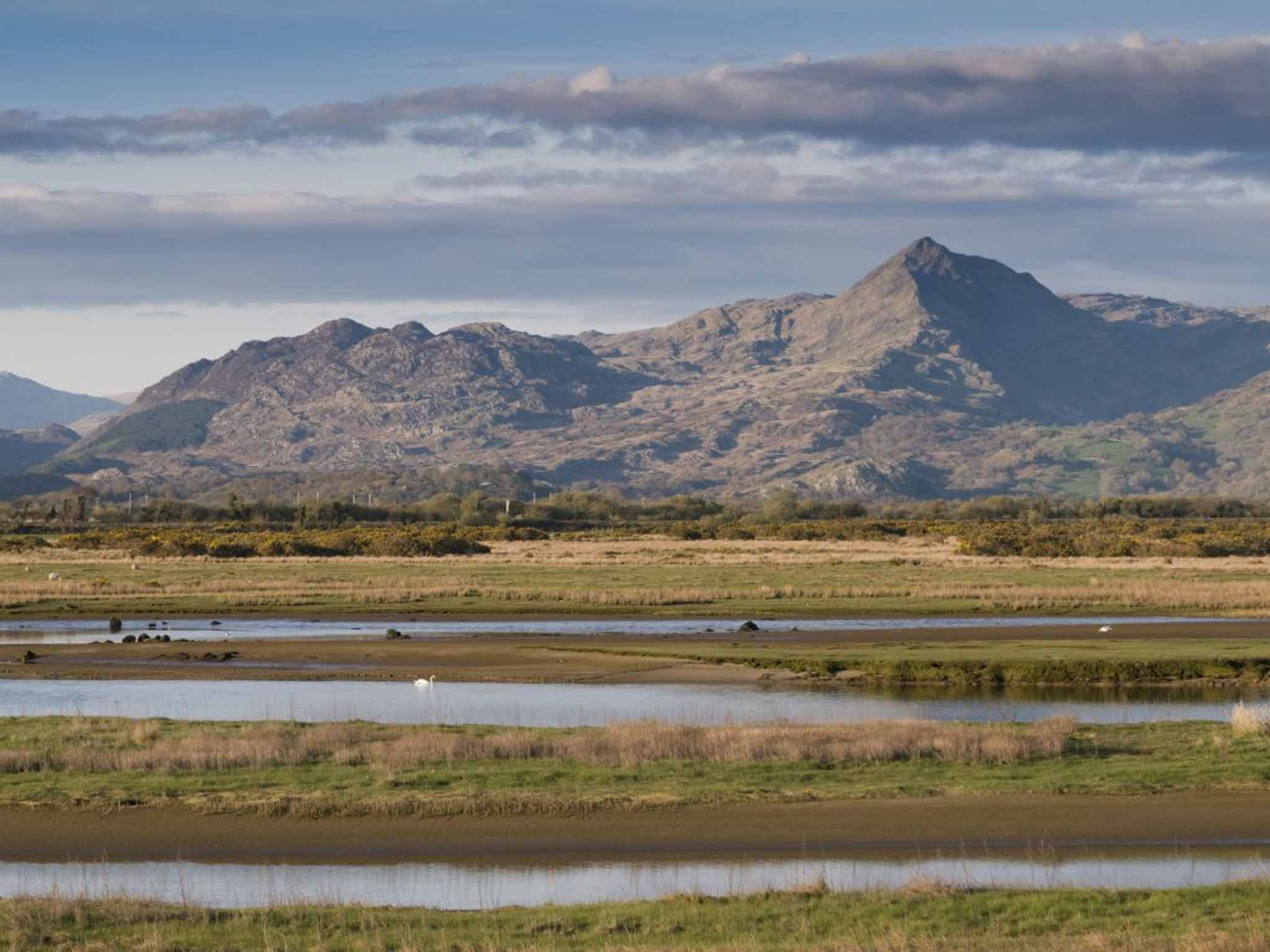 Cnicht, aka the 'Welsh Matterhorn', seen from the marshlands of the river Glaslyn at Porthmadog in Snowdonia