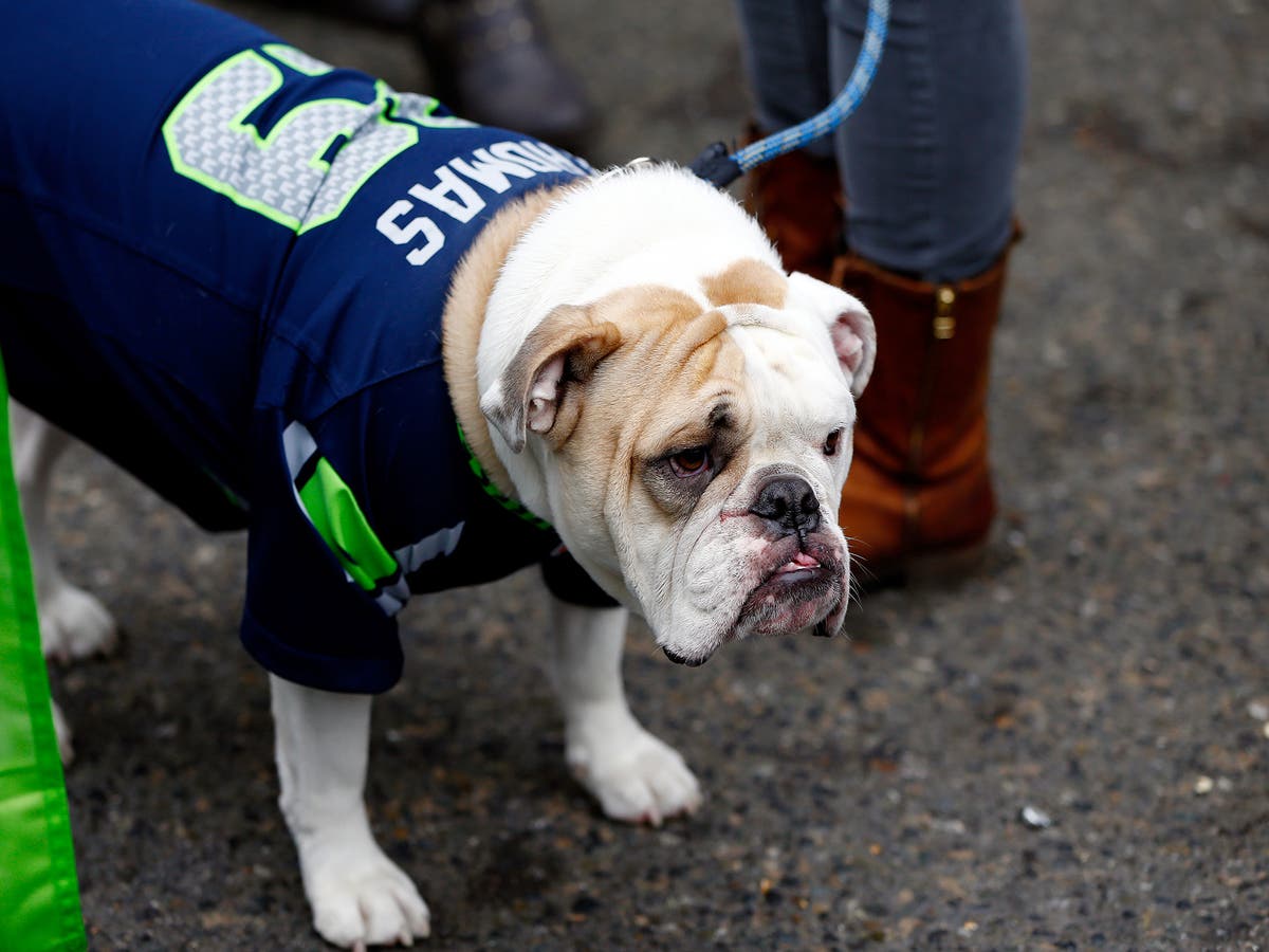 DNA testing is taking off in Seattle to find who is not scooping dog