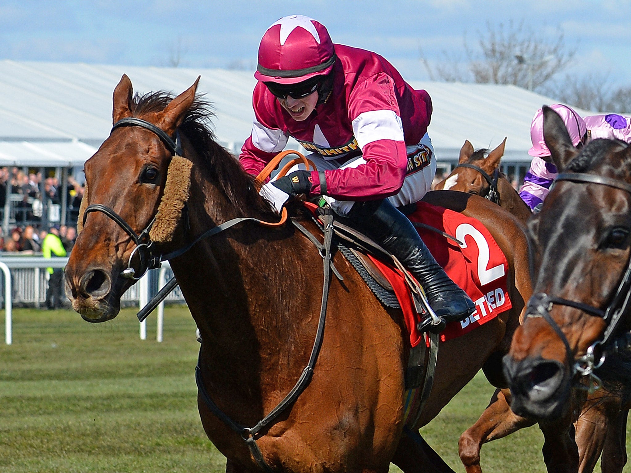 First Lieutenant competing at Aintree in 2013