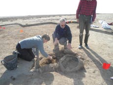 Archaeologists defy Isis' destruction of Iraq's history 