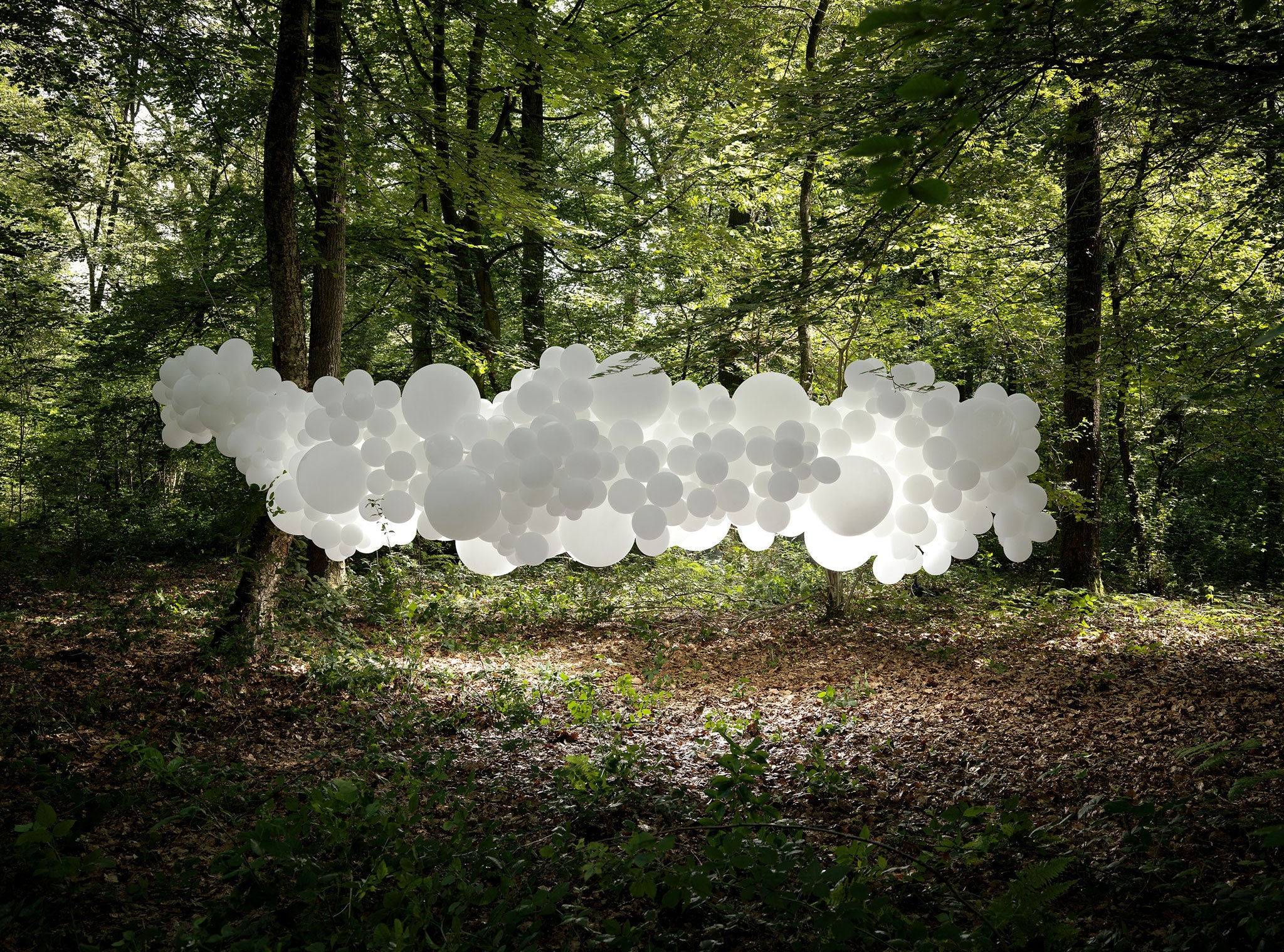 The structure in "Mutations 2", shot in a forest not far from Lille, amplifies the molecular structure of DNA as a metaphor for our changing world (Charles Pétillon)