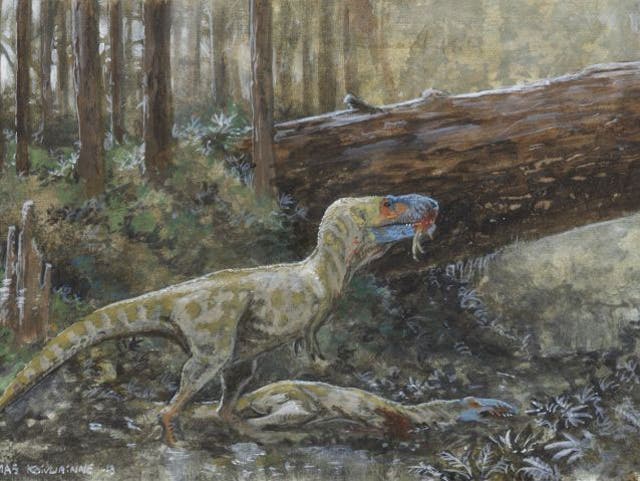 Illustration of daspletosaurus by Tuomas Koivurinne