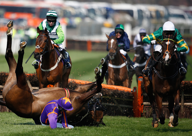 The horse Arctic Fire falls on day one of the Grand National 2015