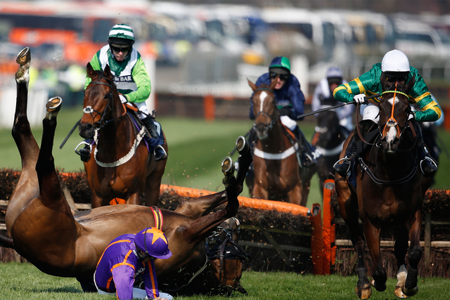 The horse Arctic Fire falls on day one of the Grand National 2015