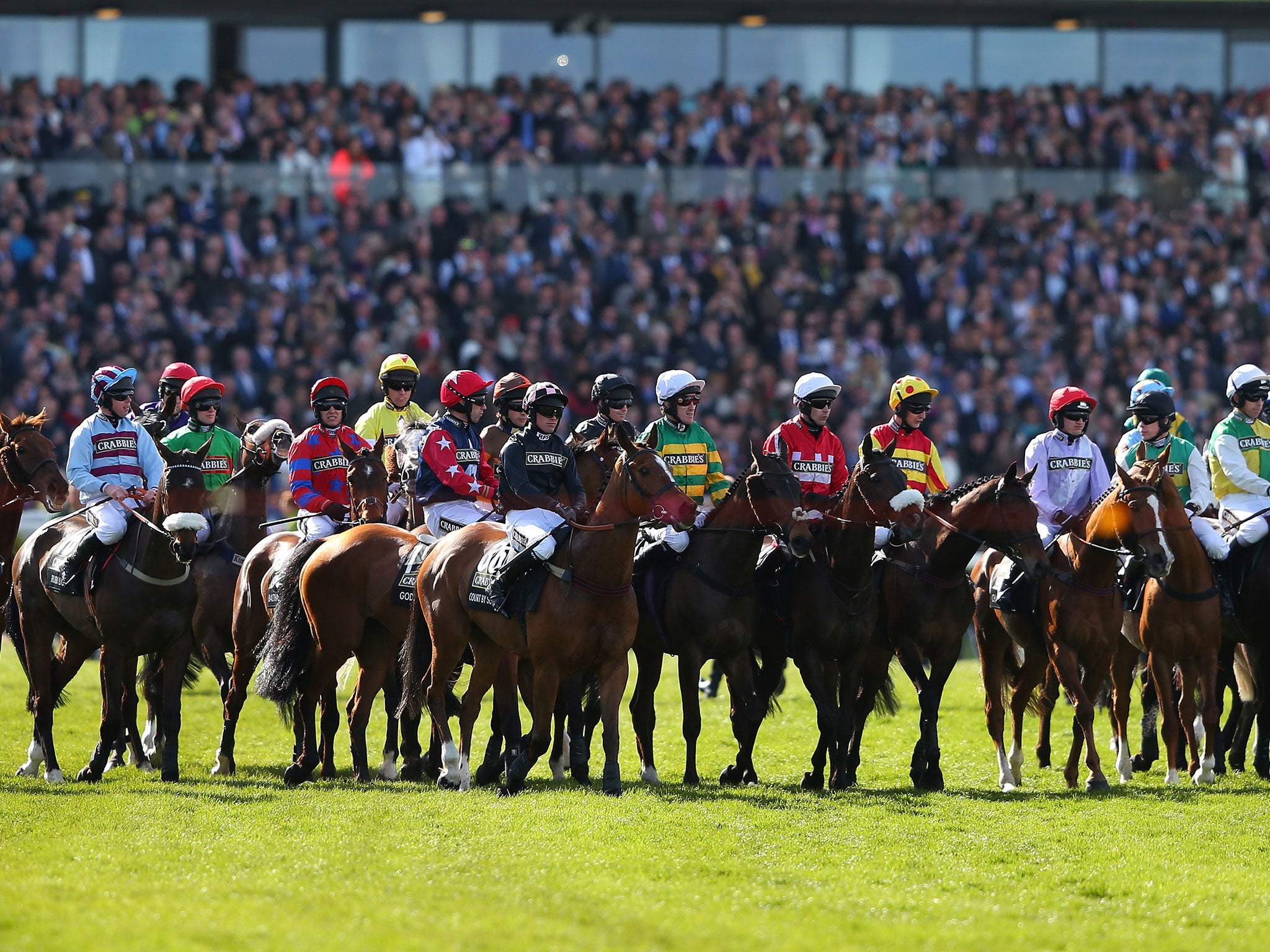 Horses line-up for the start of the Grand National