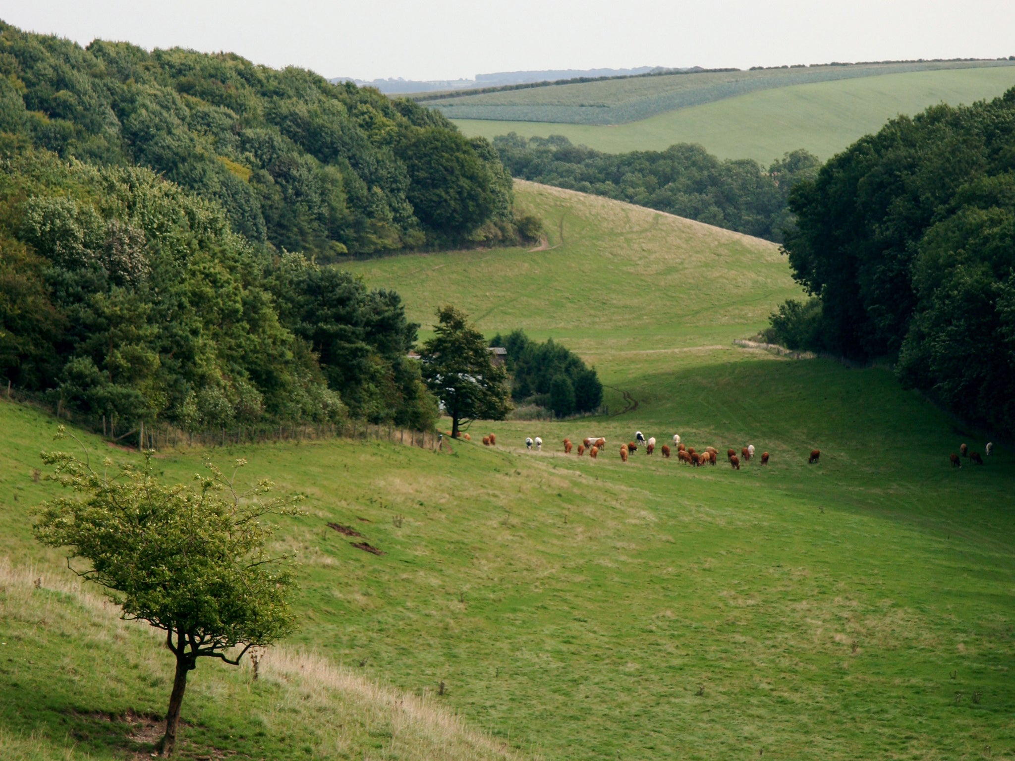 Lincolnshire Wolds, United Kingdom