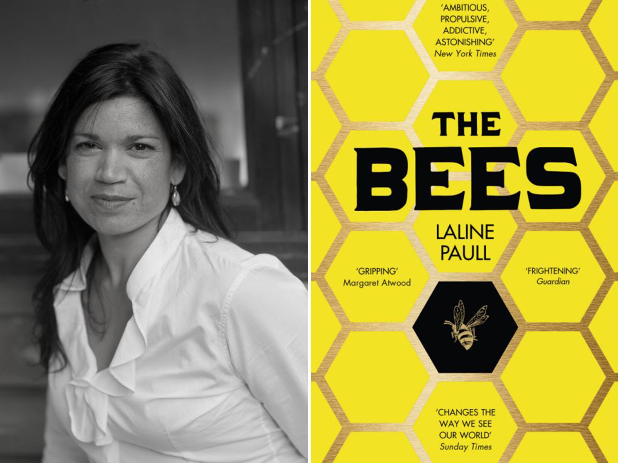 Laline Paull was inspired to write her novel ‘The Bees’ by the death from breast cancer of a close friend who kept bees