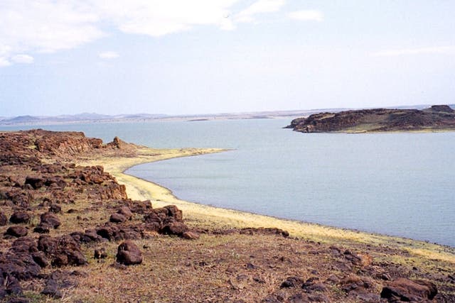 The artefacts were found near Lake Turkana, Kenya