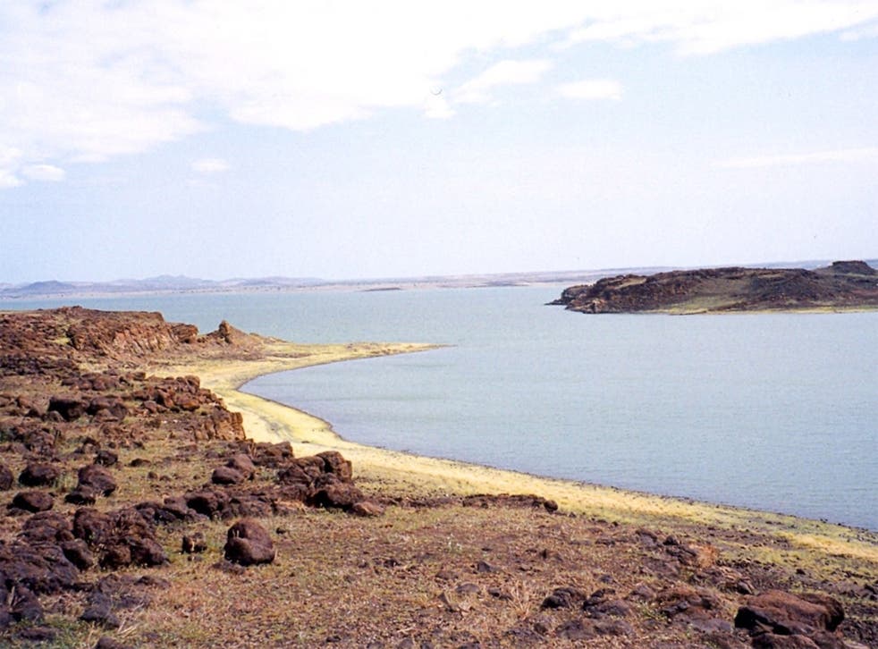 The artefacts were found near Lake Turkana, Kenya