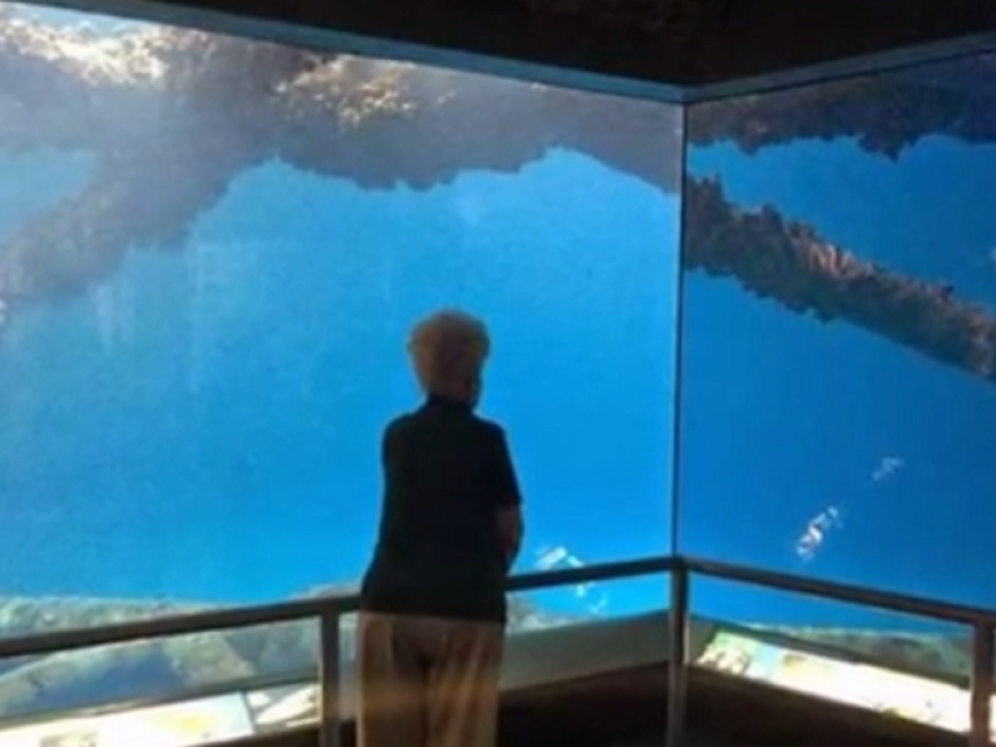 The biggest indoor tank at the aquarium stands empty for now