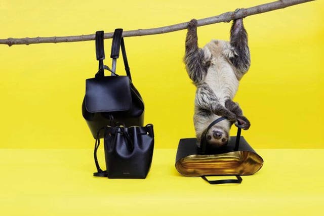 Mansur Gavriel, the luxury handbag company, used a sloth for its Spring 2015 lookbook