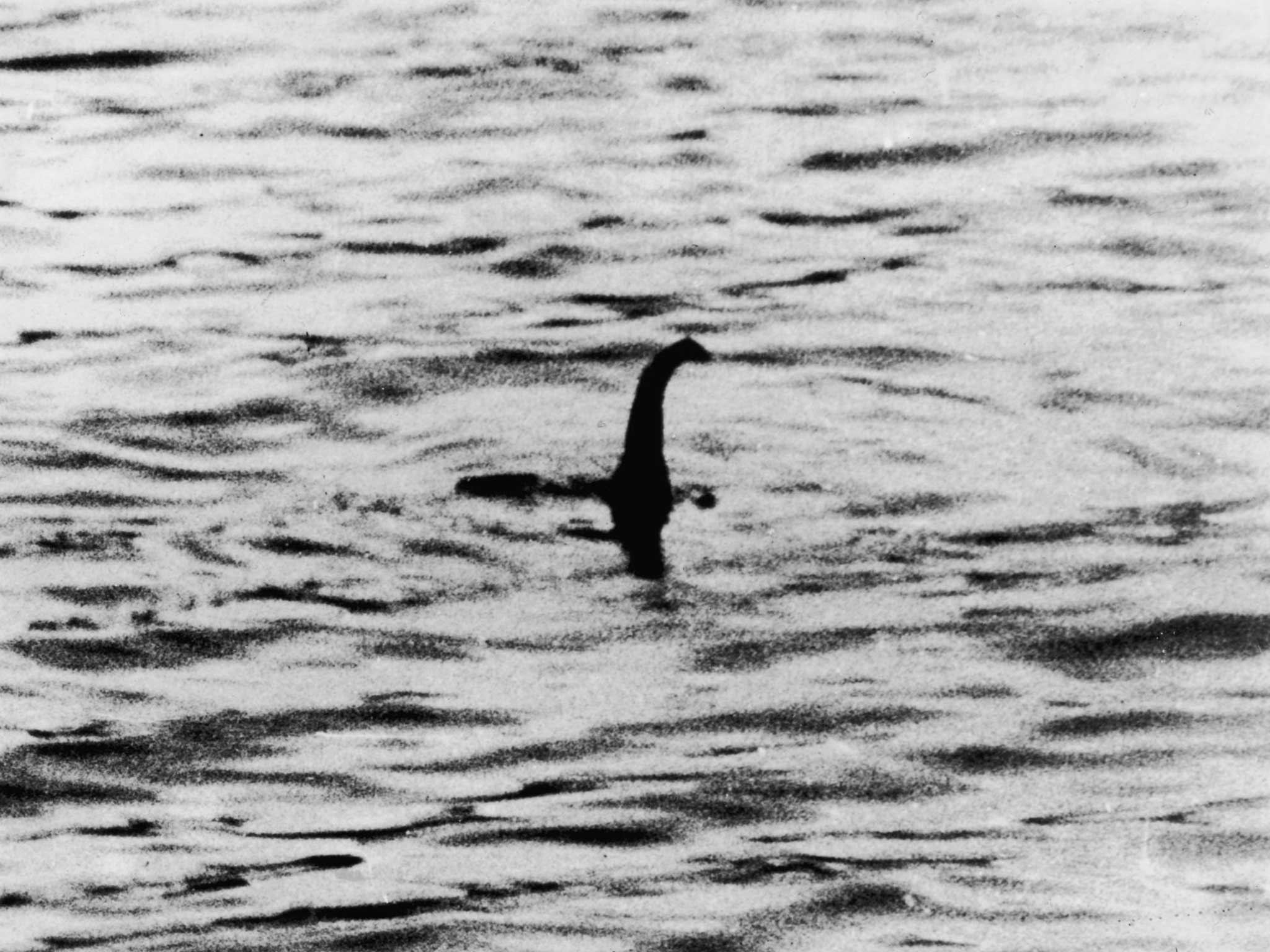 A ‘view’ of the Loch Ness Monster at Inverness in April 1934. The photograph was later exposed as a hoax