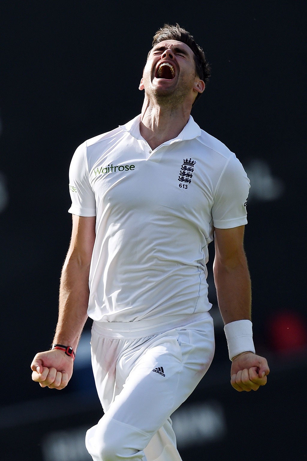 James Anderson celebrates becoming England's leading Test wicket-taker