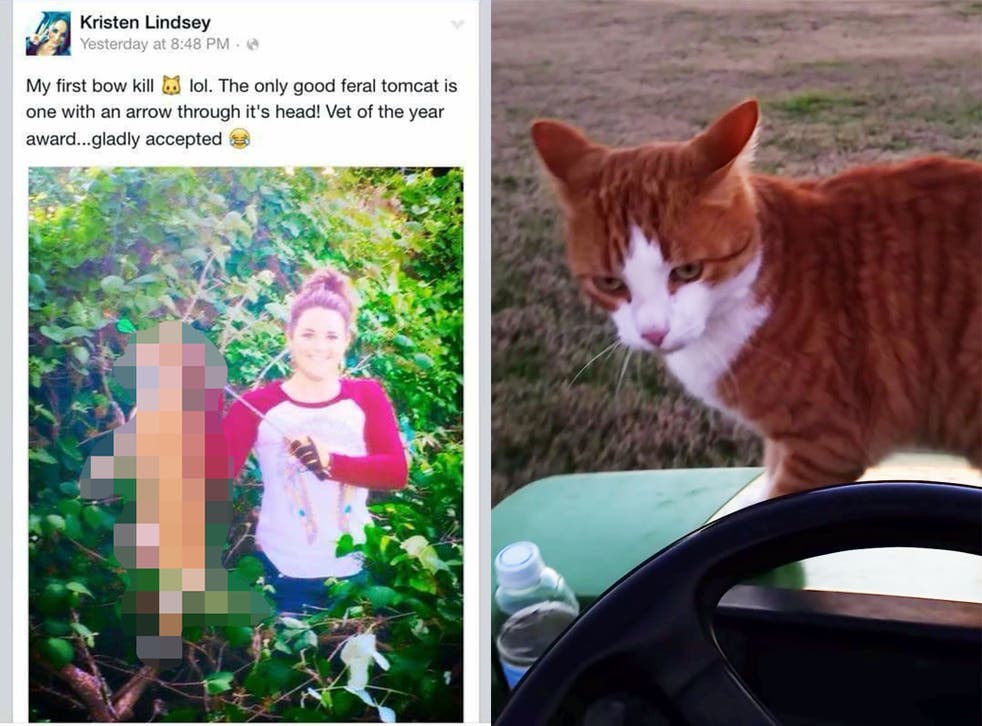 A censored version of the image Kristen Lindsey posted and a still from a video of the cat, Tiger, uploaded by its owner