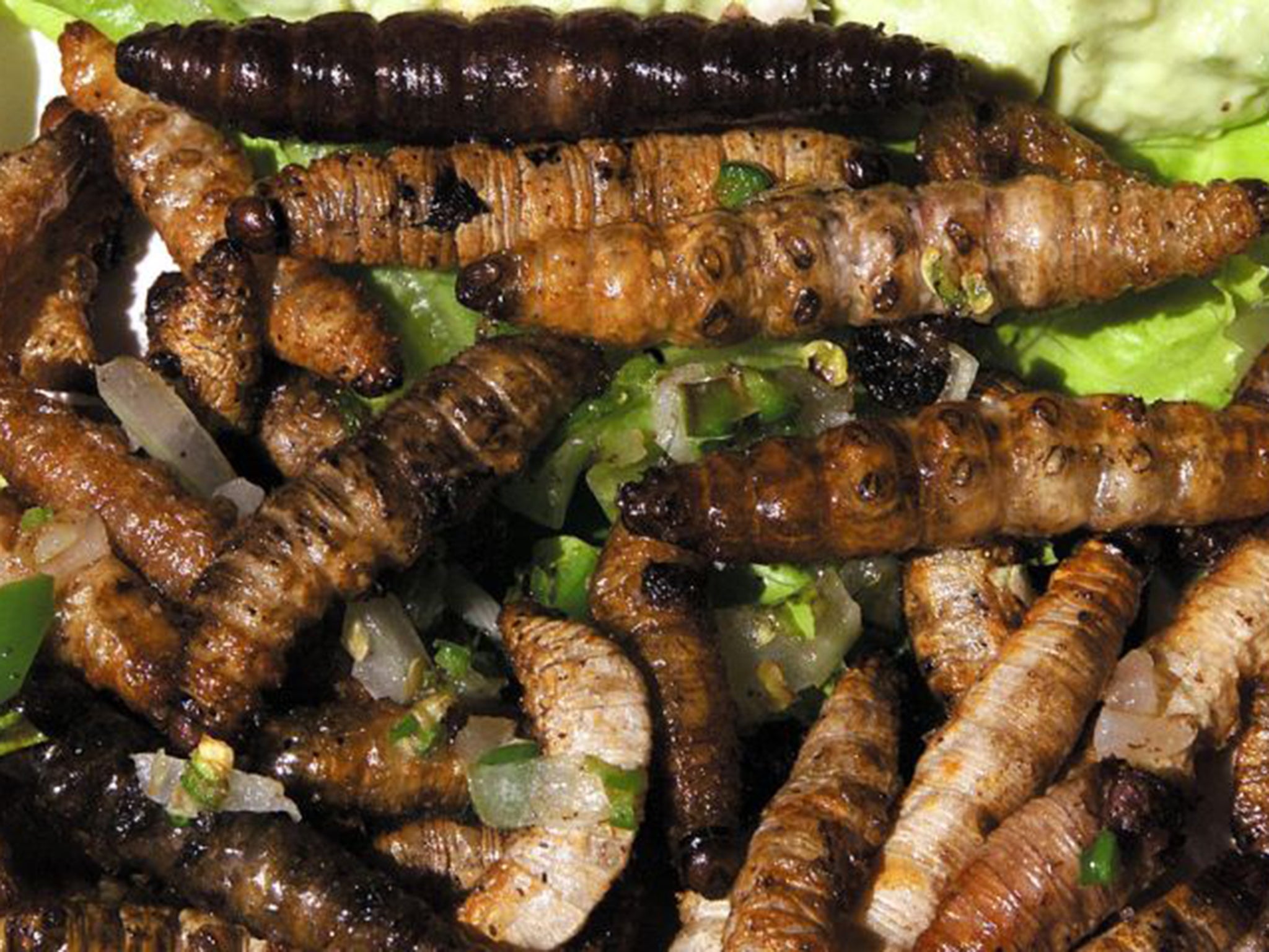 Sauteed maggots are a typical Mexican delicacy (AFP/Get)