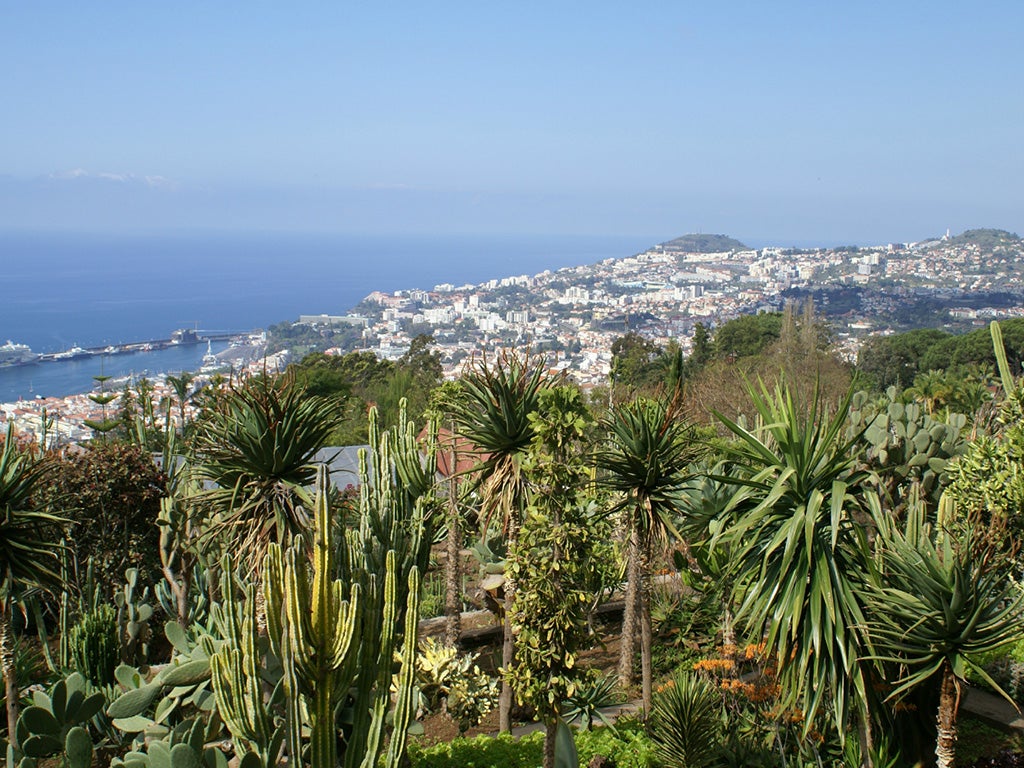 Madeira: Funchal has exciting terrain