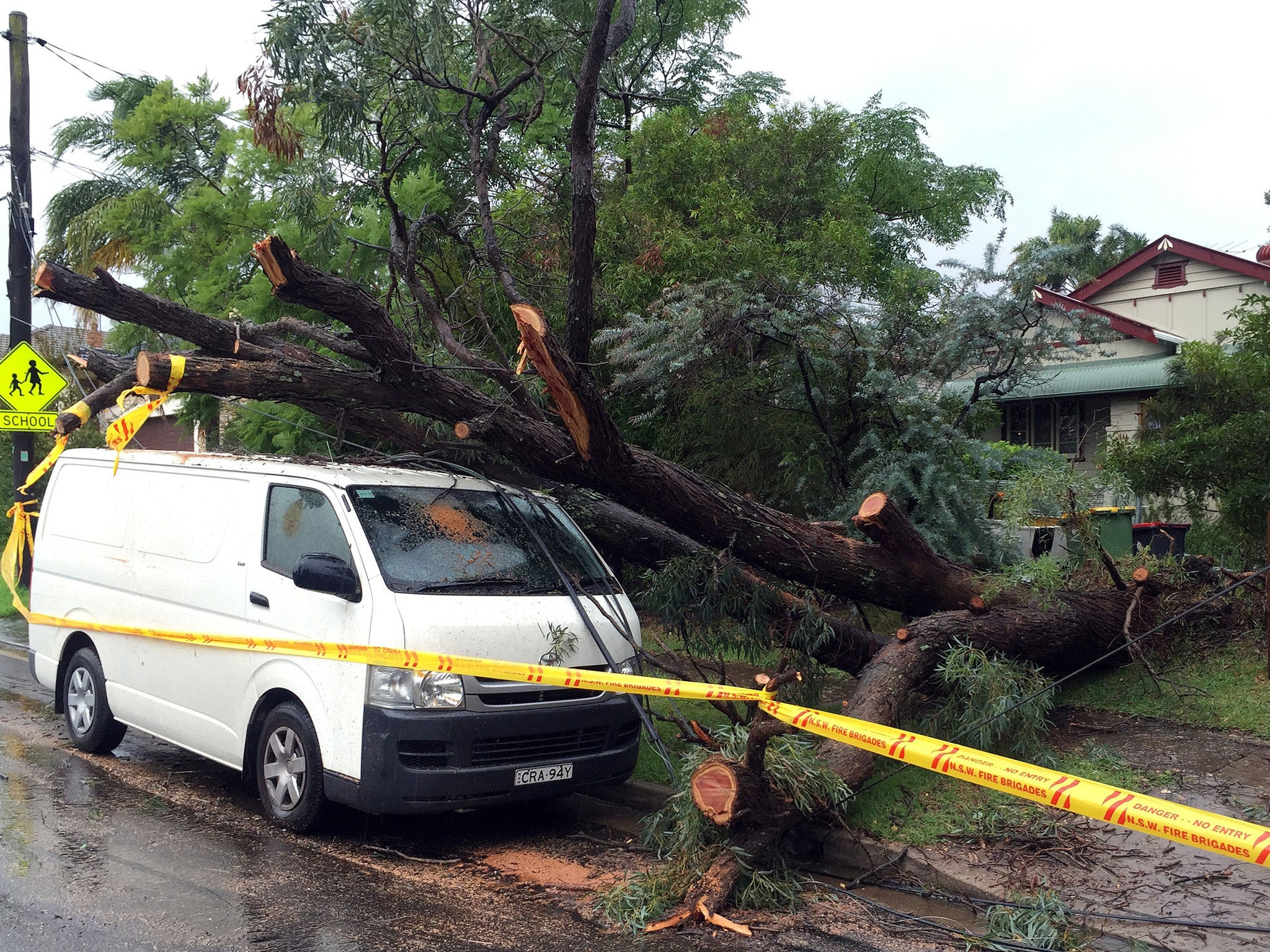 An uprooted tree crashed into a car during the storm in suburban Sydney
