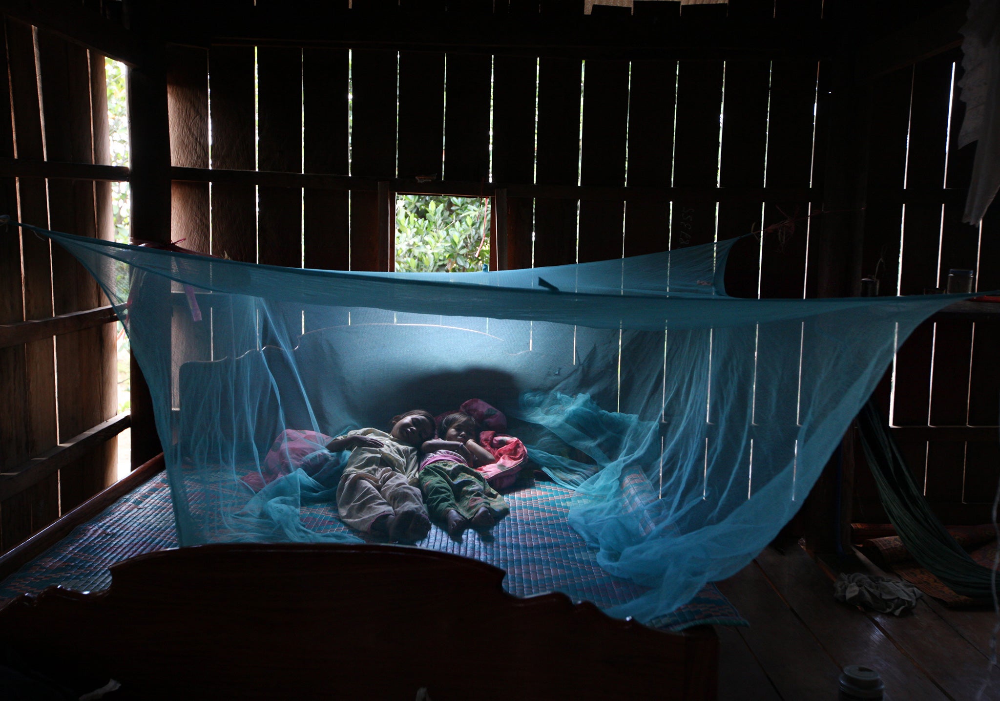 There are an estimated 198 million cases of malaria a year