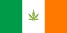Ireland to consider decriminalising marijuana