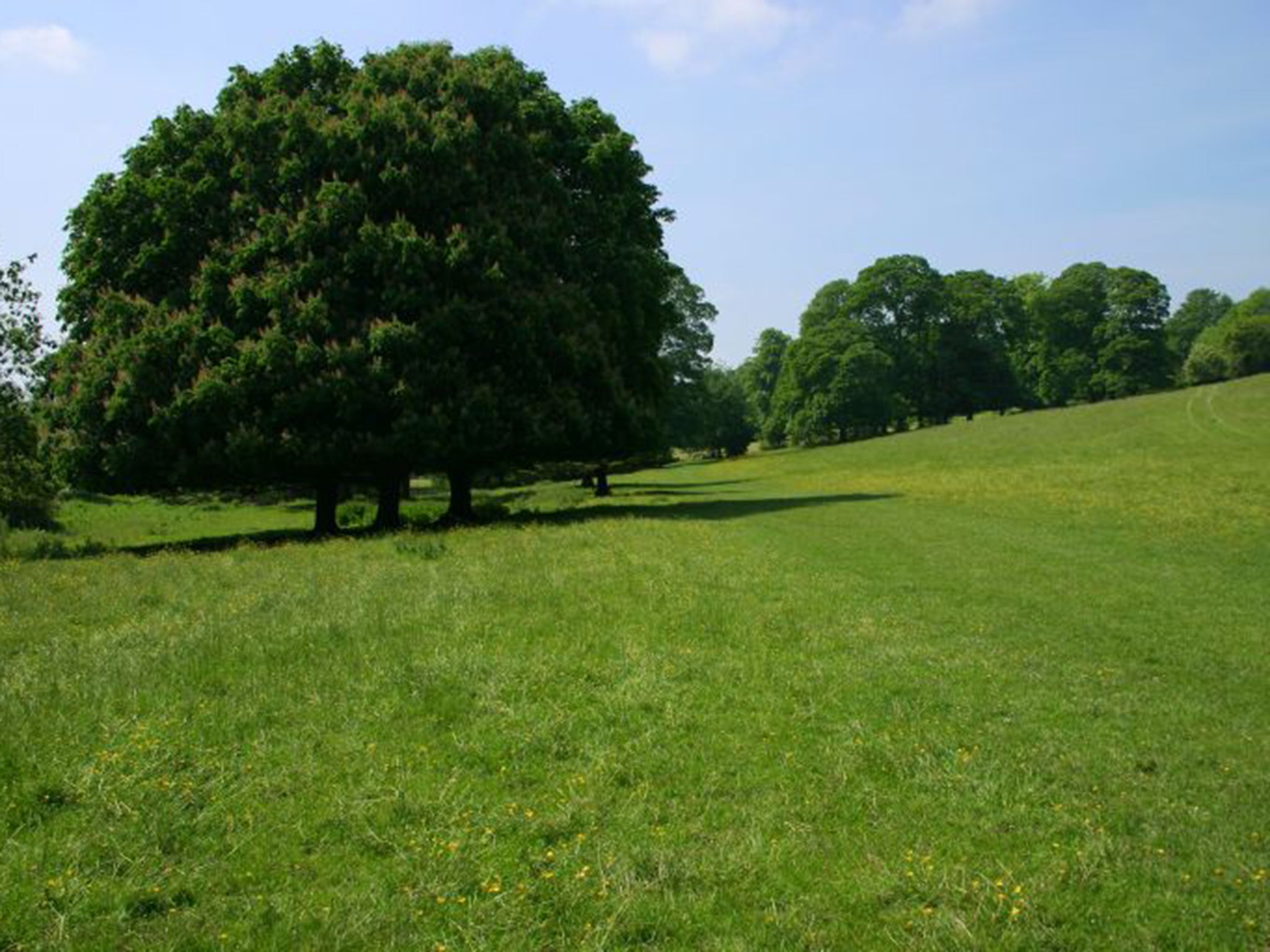 The original field in High Wycombe, which is used as the banner image on a number of websites belonging to local Tory associations