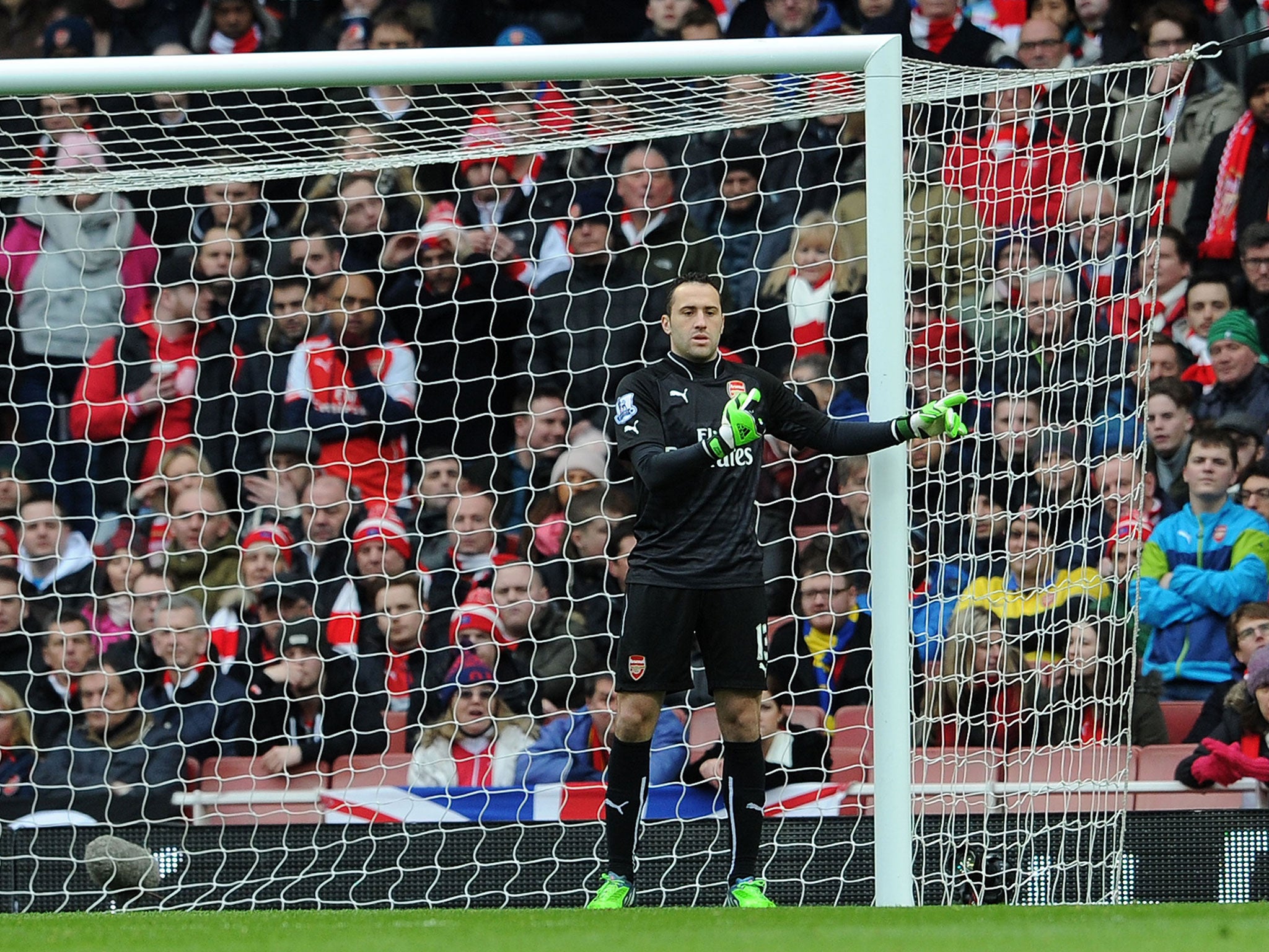 Ospina could find his future in doubt if Cech joins