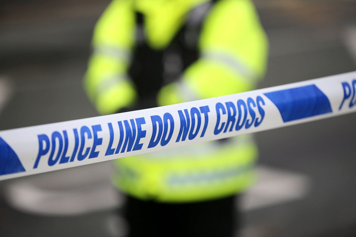 Boy dies after being hit by a falling tree in Stafford