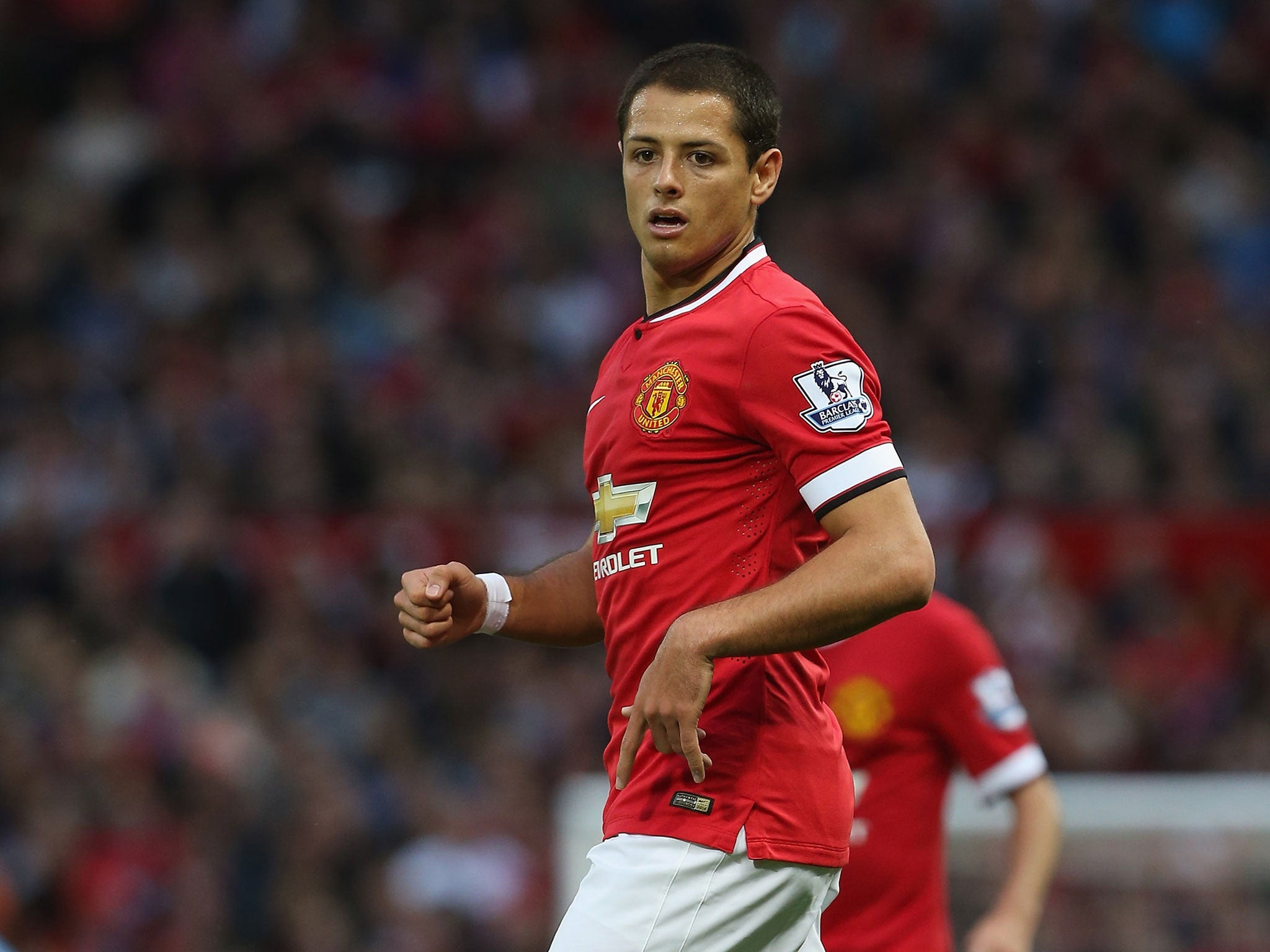 Javier Hernandez could leave Manchester United in the summer