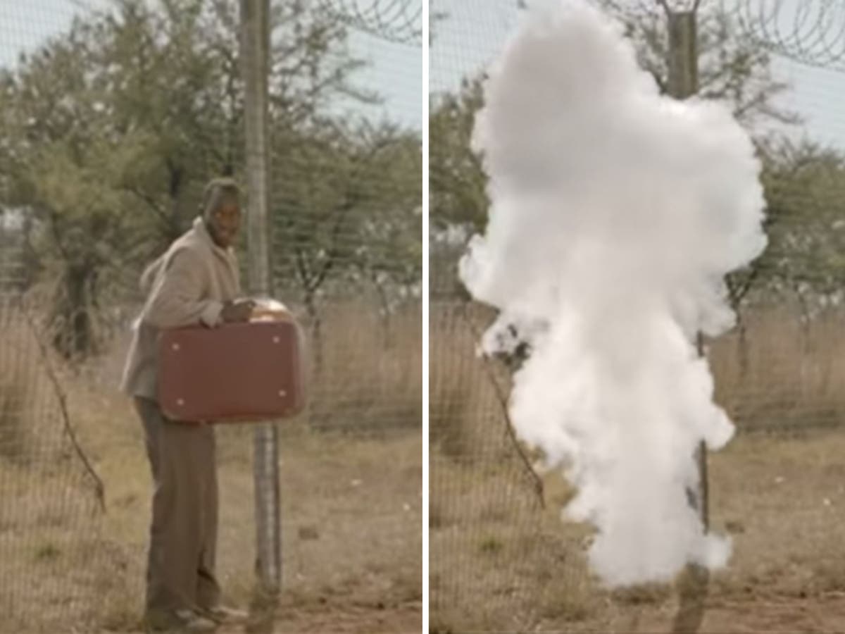 Freedom Day: Satirical anti-immigrant Nandos advert goes viral ...