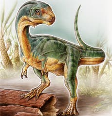 New Tyrannosaurus-like vegetarian dinosaur discovered