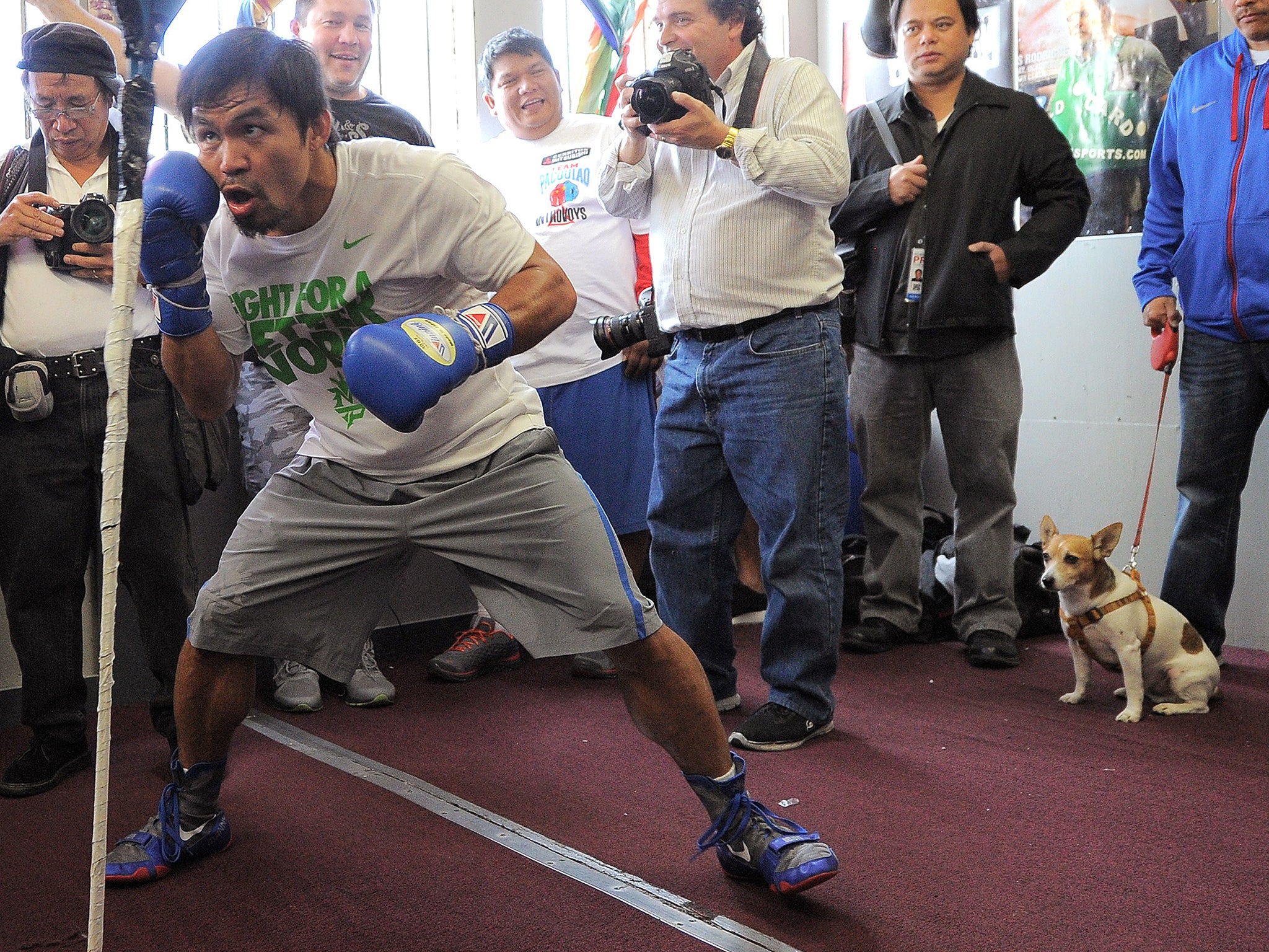 Manny Pacquiao with his dog - 'PacMan' - in 2014