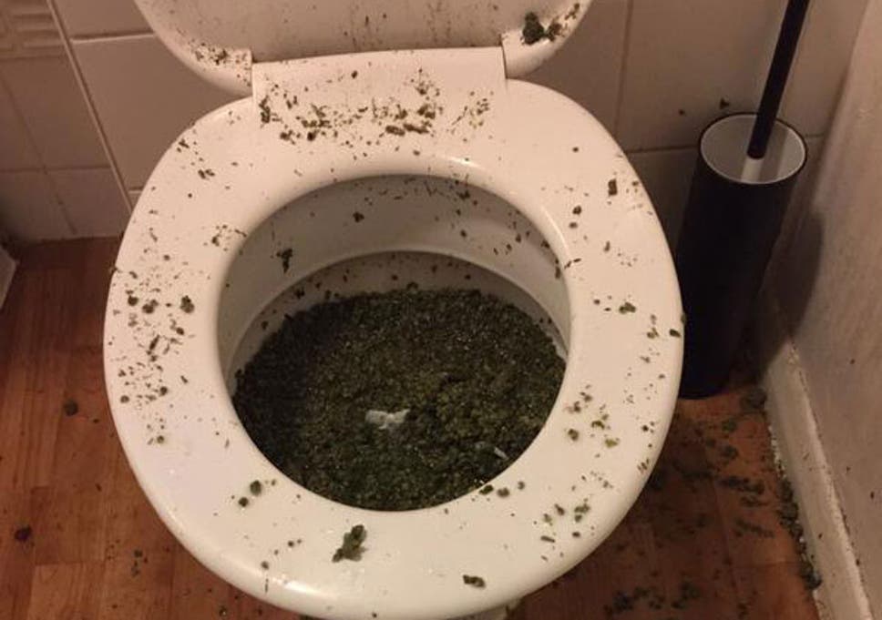 https://static.independent.co.uk/s3fs-public/thumbnails/image/2015/04/29/13/drug-toilet.jpg?w968h681