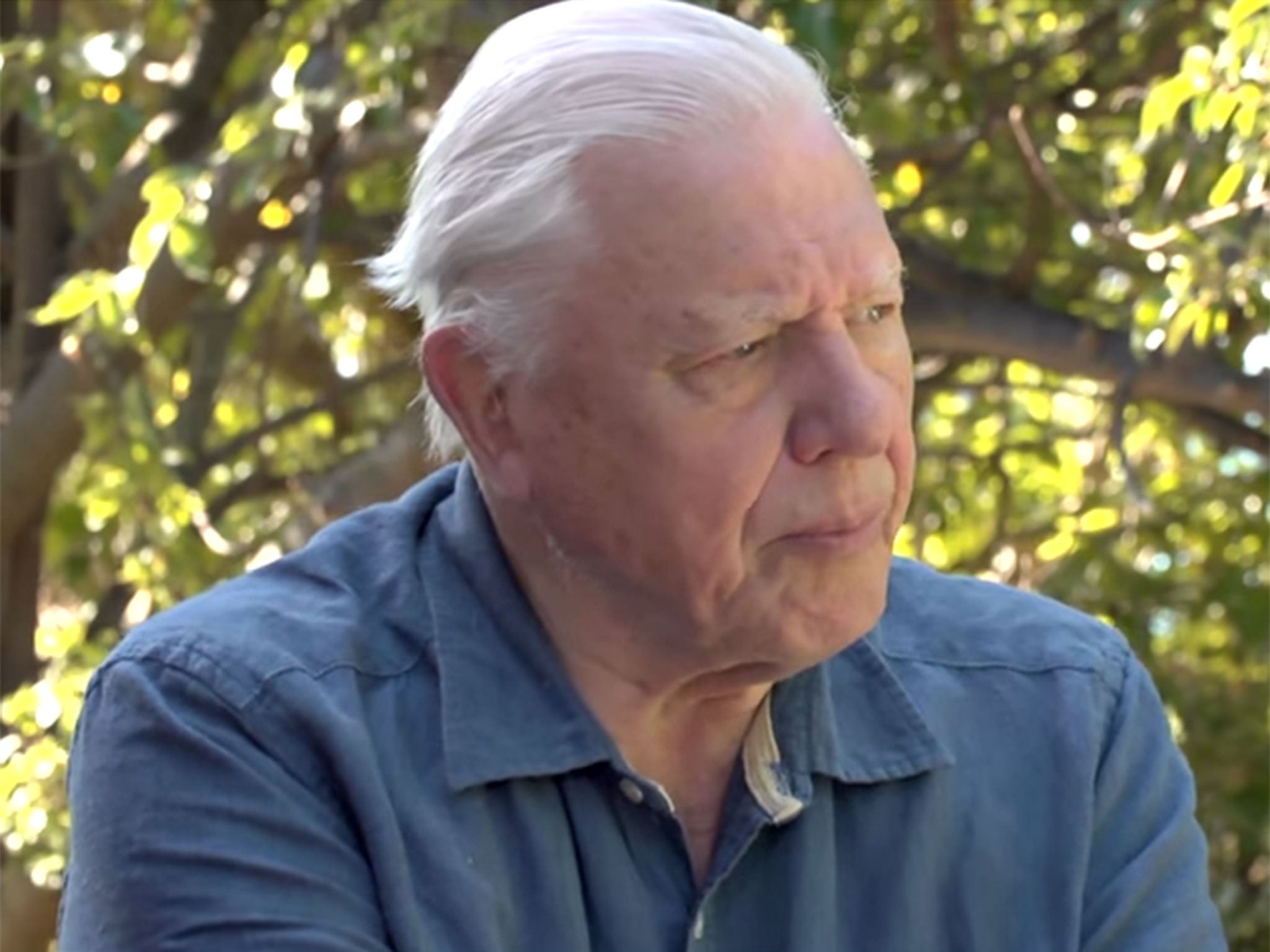 Sir David Attenborough is among the leading climate scientists and public figures to feature with lectures and interviews as part of the course