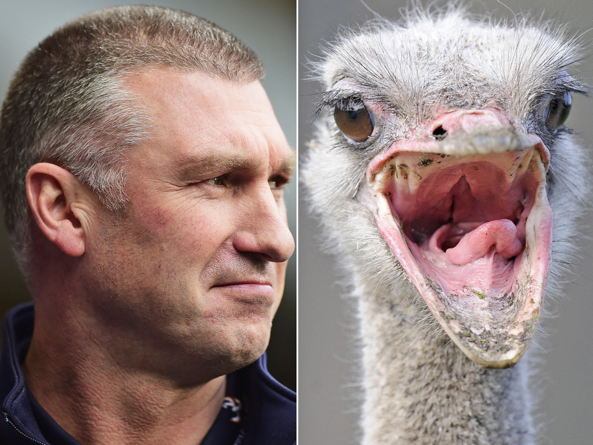 (L to R) Nigel Pearson; an ostrich (Getty)