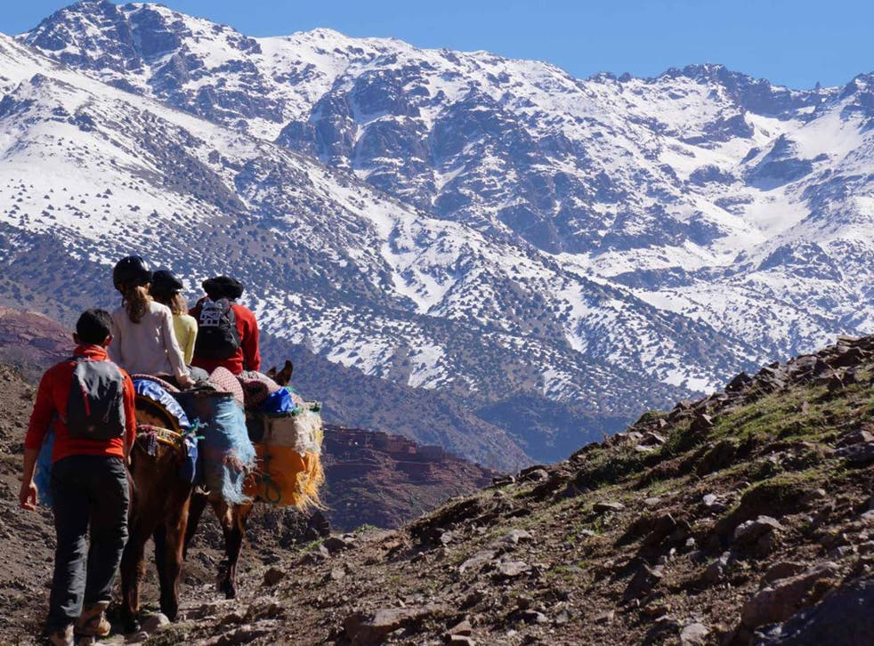 Slow and steady: explore the Atlas Mountains by mule
