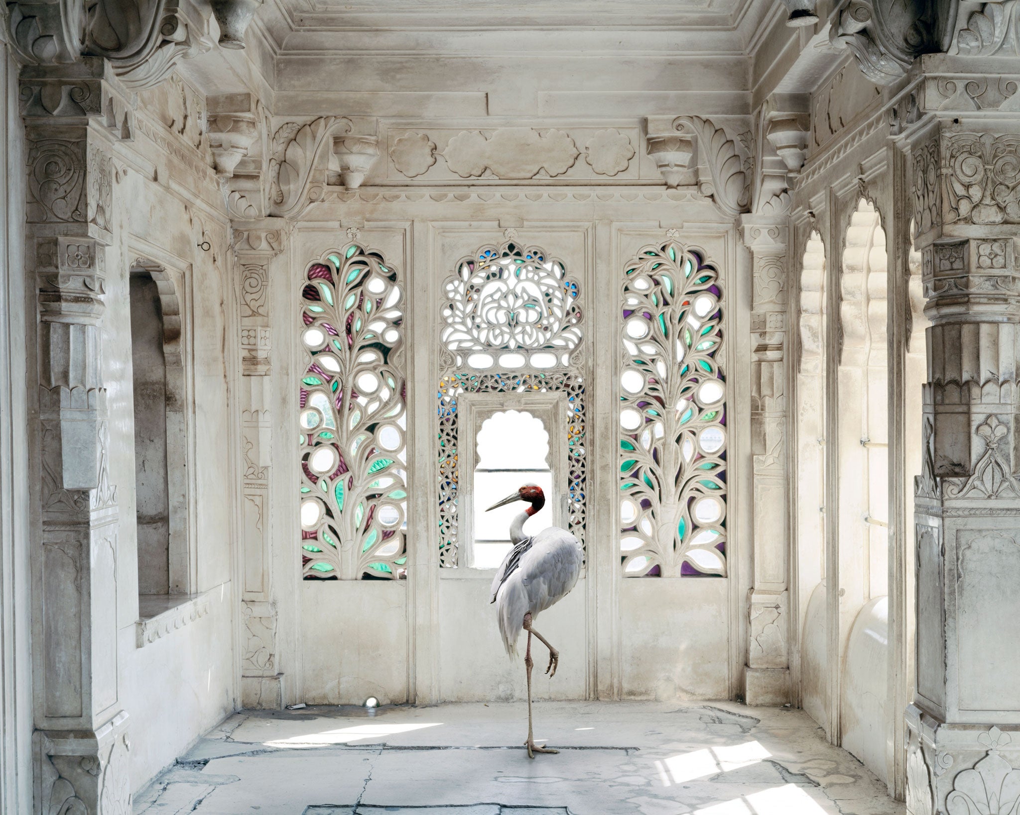 A room in the Udaipur City Palace is enhanced by Knorr superimposing a shot she took in a zoo of a sarus crane, a creature that features frequently in Indian miniatures