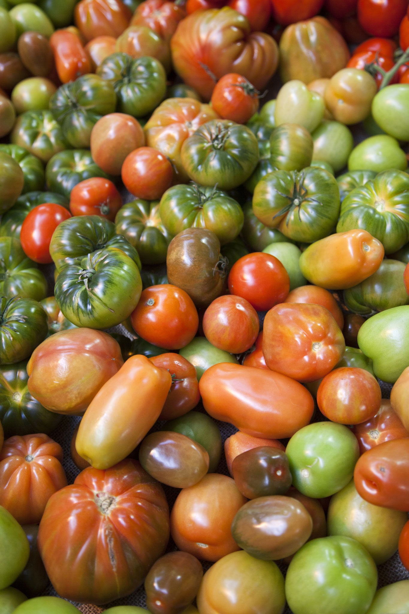 It's not too late to start tomatoes again, though plants will take at least a month longer to fruit