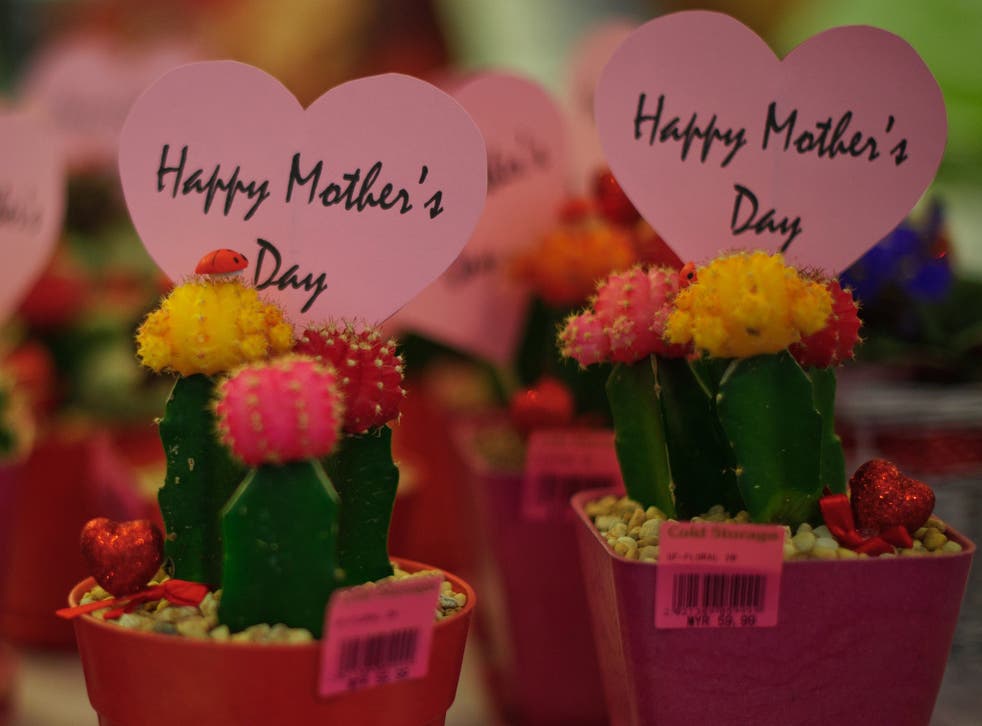 Mother's Day cactus, anyone? At least it's not an ironing board...