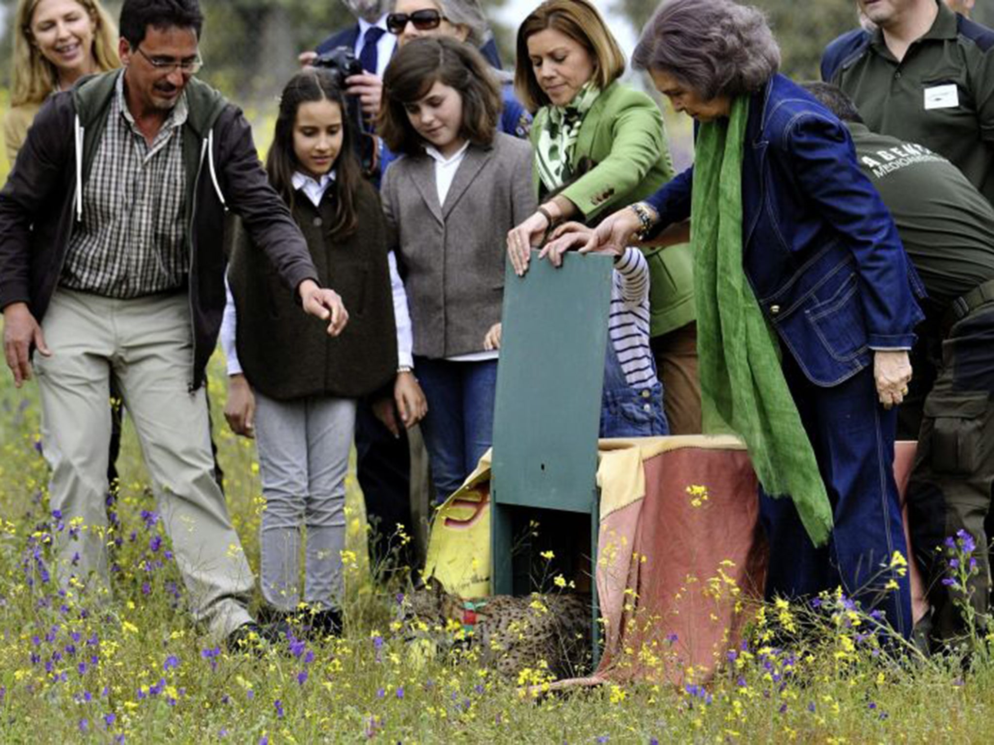 Spain's Queen Sofia, right, attends the release of two Spanish Lynx in Mazarambroz