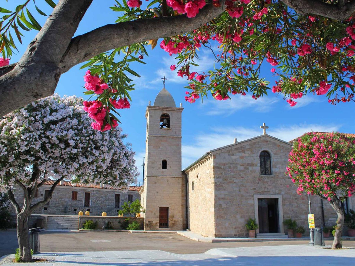 what dogs are native to sardinia