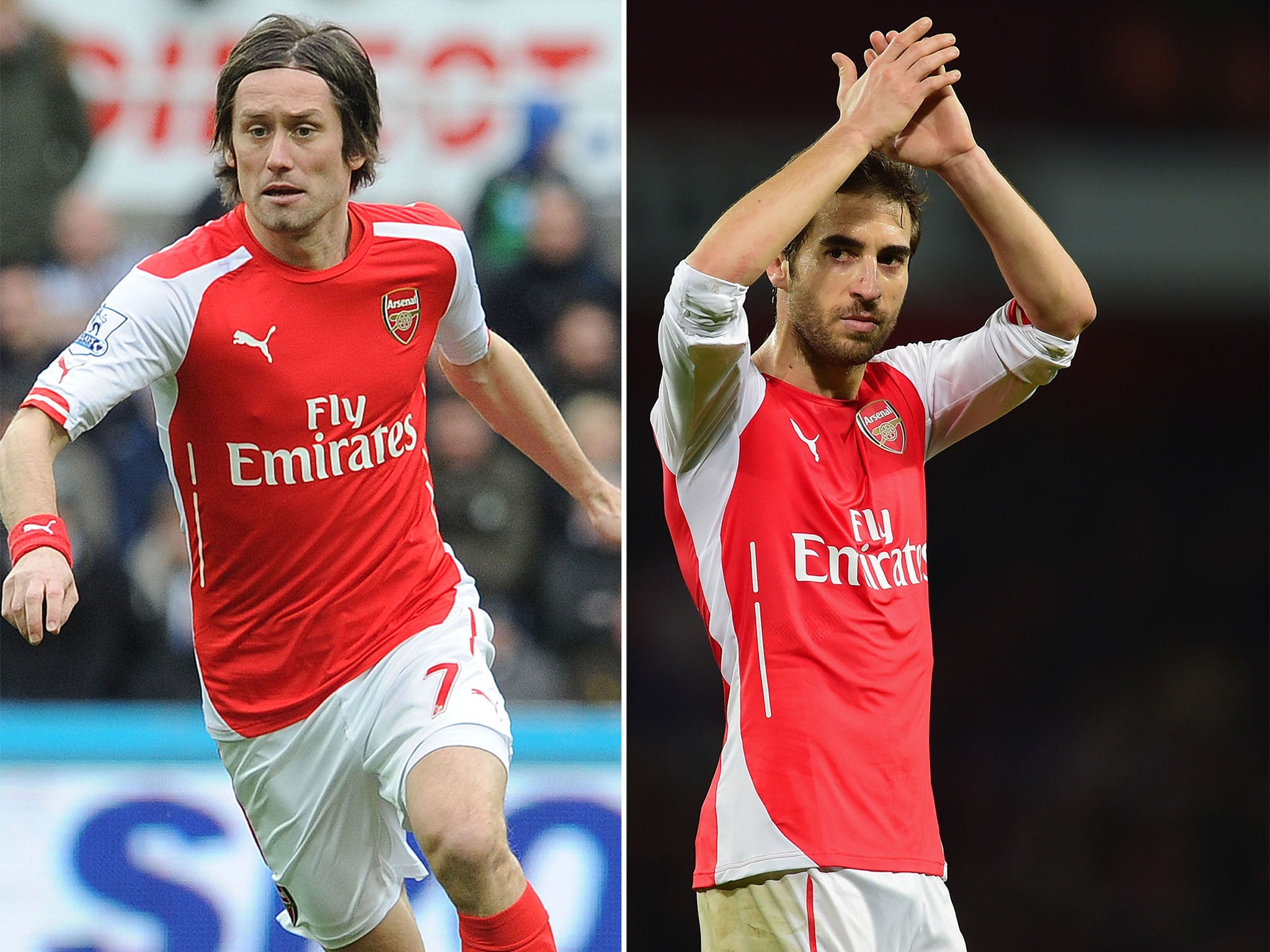 Tomas Rosicky and Mathieu Flamini could leave Arsenal this summer
