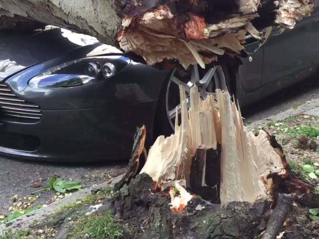 The 50ft tree had fallen straight across the car's bonnet