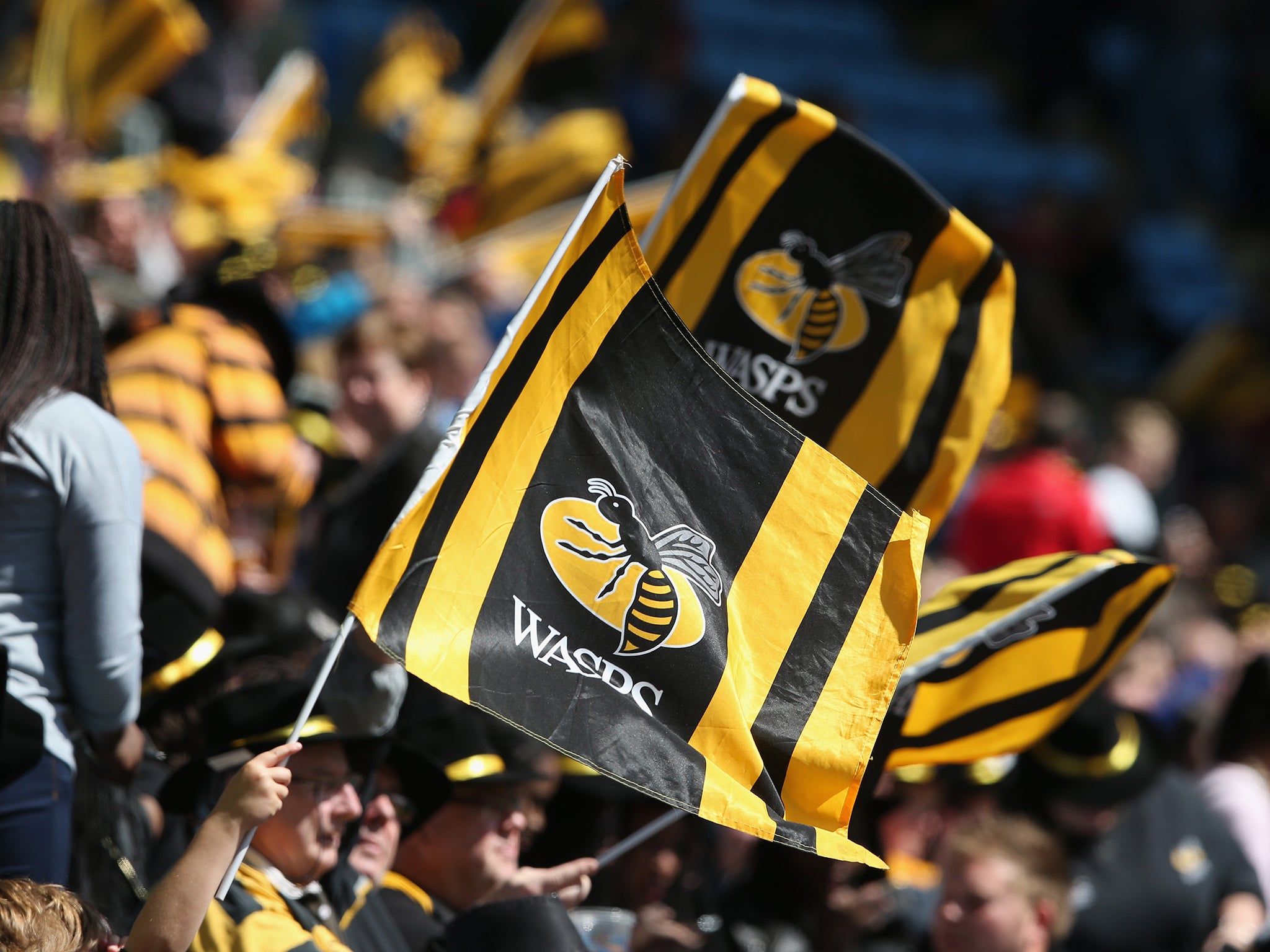 Wasps fans at the Ricoh Arena