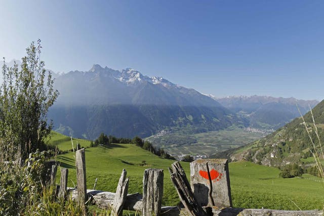 Valley high: the pretty Vinschger trail
