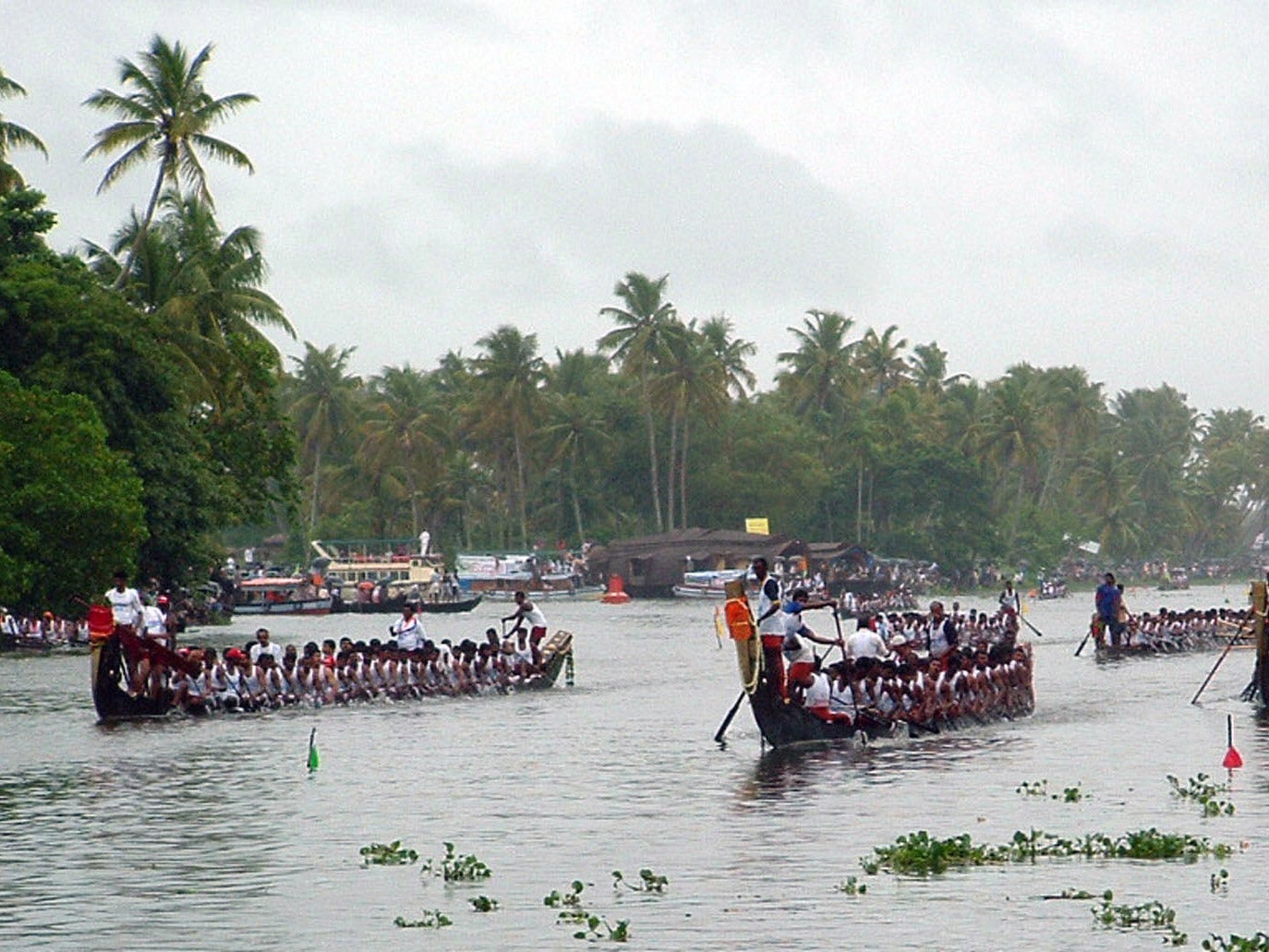 Indian oarsmen and women prepare to take part in the Nehru Boat Races in Alleppy, Kerala