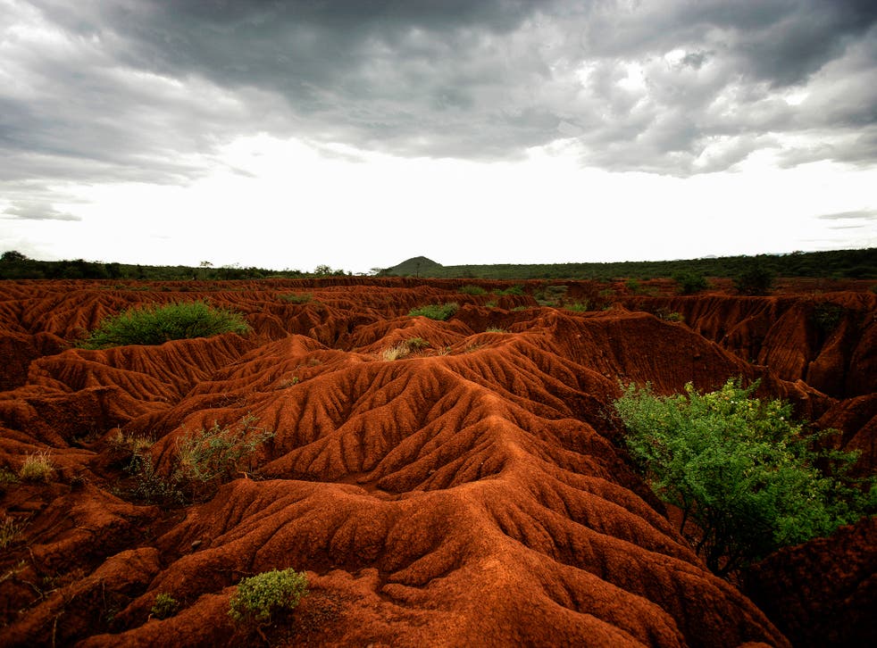 Soil erosion and degradation is one of the most pressing issues facing human security in the 21st century