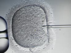 Read more

New IVF treatment could double success rate to over 80 per cent