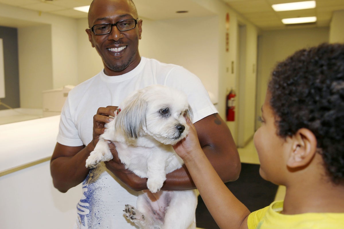 Dog missing for four years reunited with owner after being found 1,000 ...