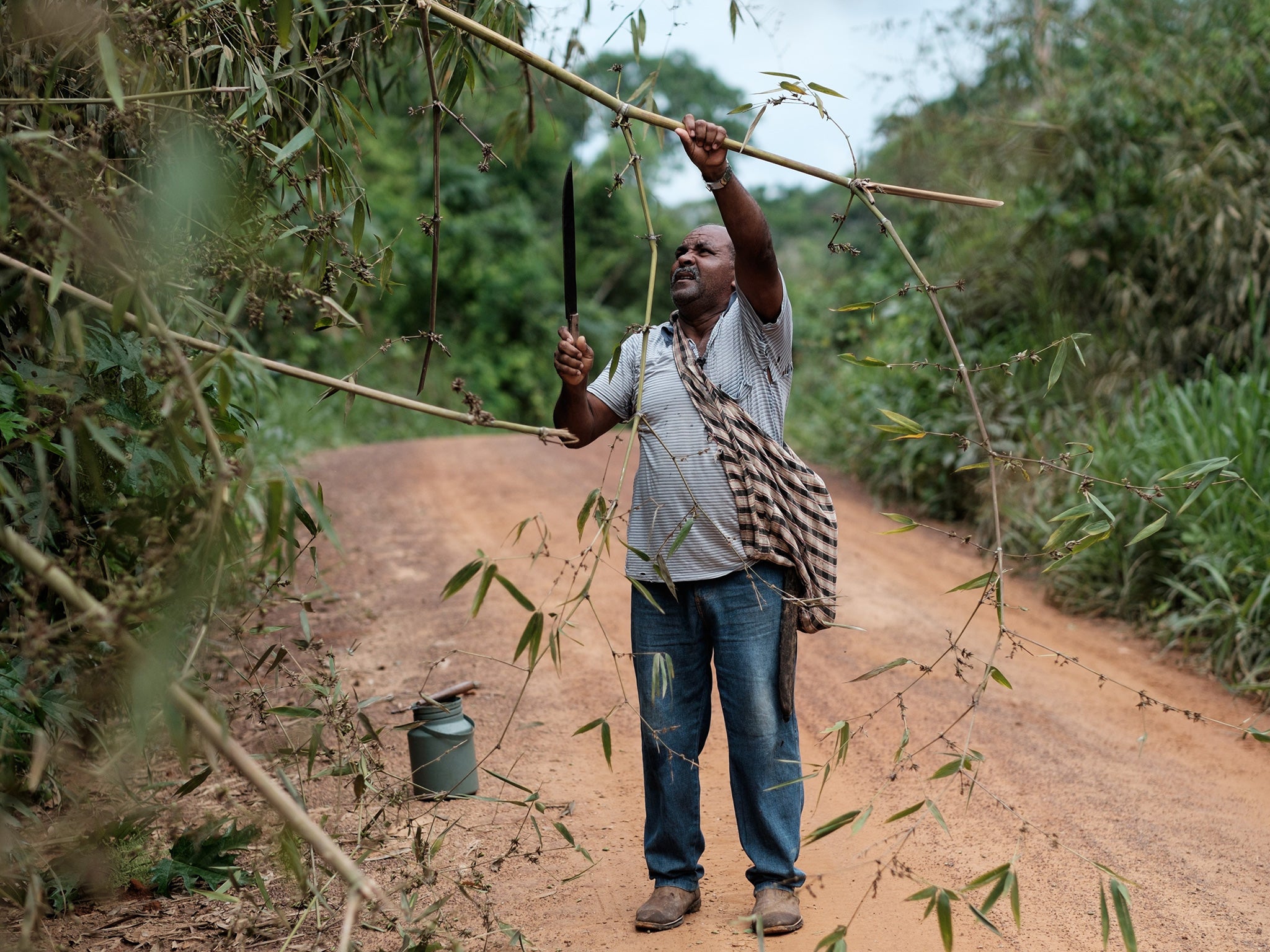 Campaigners have warned that indigenous peoples have not been consulted on the bill